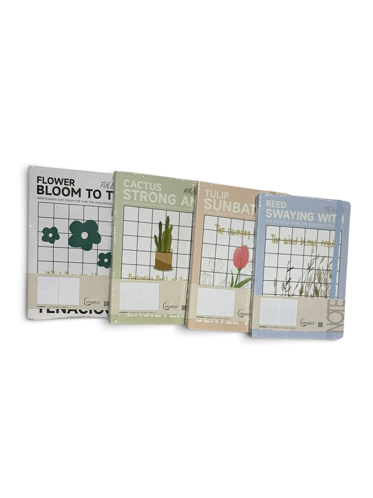 Libretas Brisa